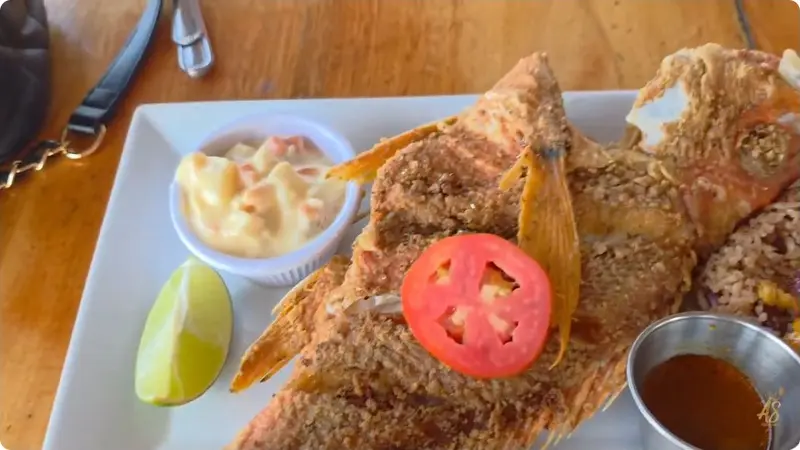 Fried fish with rice and potato salad in Artisha Sparkle’s Belize vlog
