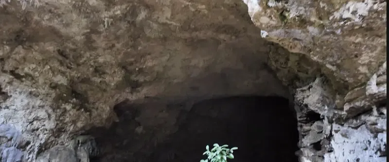 Rio Frio Cave