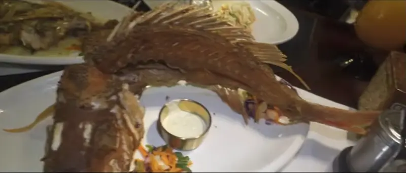 Fried snapper presentation at Caramba’s in Nicole’s San Pedro vlog