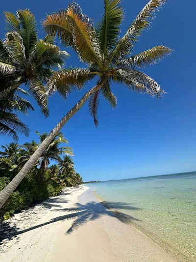 Casa Punta Azul Norte — 2-Bedroom Ambergris Caye Home - thumbnail 5