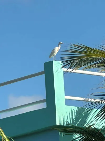 Casa Punta Azul Norte — 2-Bedroom Ambergris Caye Home - thumbnail 26