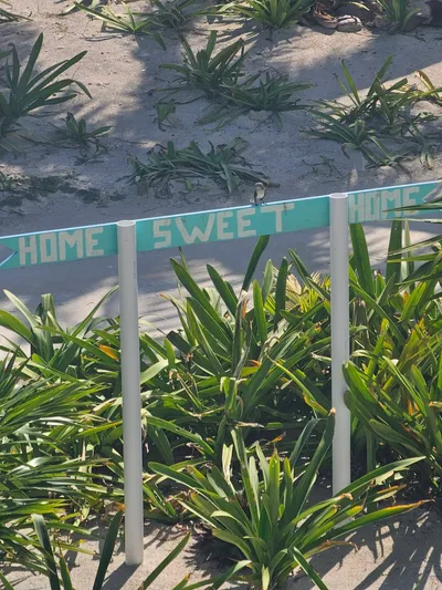 Casa Punta Azul Norte — 2-Bedroom Ambergris Caye Home - thumbnail 28