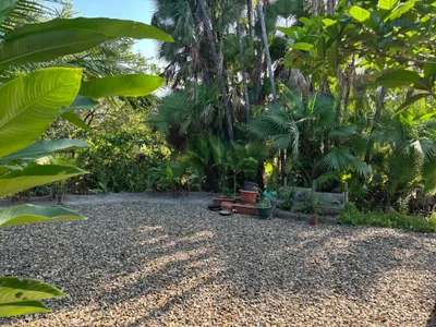 Caribbean Way Property with Tiny Home - thumbnail 9