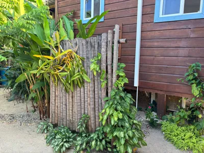 Caribbean Way Property with Tiny Home - thumbnail 11
