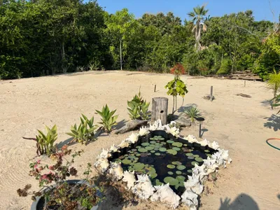 Caribbean Way Property with Tiny Home - thumbnail 15