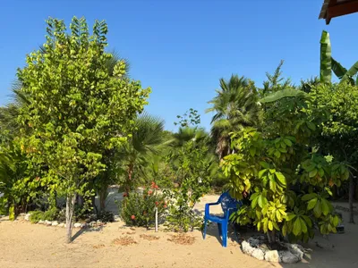 Caribbean Way Property with Tiny Home - thumbnail 16