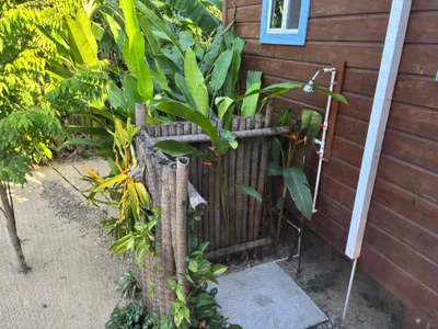 Caribbean Way Property with Tiny Home - thumbnail 17