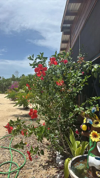 Caribbean Way Property with Tiny Home - thumbnail 37