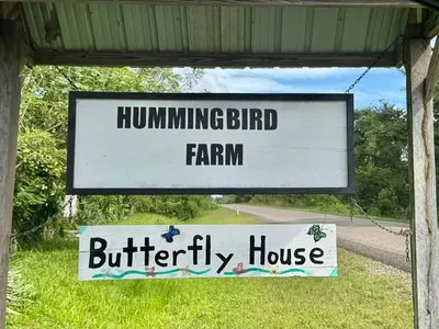 112.9-Acre Homestead in Southern Belize - thumbnail 1