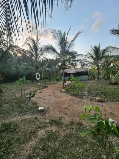 112.9-Acre Homestead in Southern Belize - thumbnail 3
