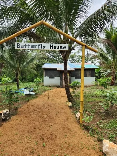 112.9-Acre Homestead in Southern Belize - thumbnail 4