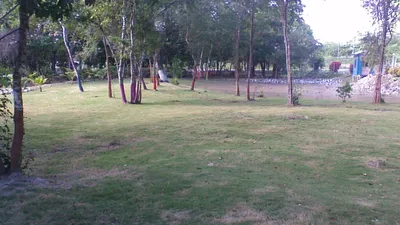 Unique Riverfront Property in Orange Walk District - thumbnail 20