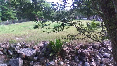 Unique Riverfront Property in Orange Walk District - thumbnail 23