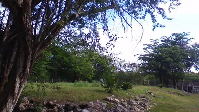 Unique Riverfront Property in Orange Walk District - thumbnail 24