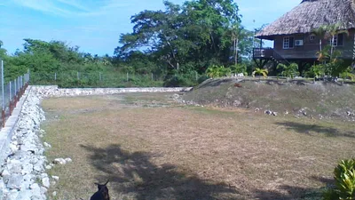 Unique Riverfront Property in Orange Walk District - thumbnail 27