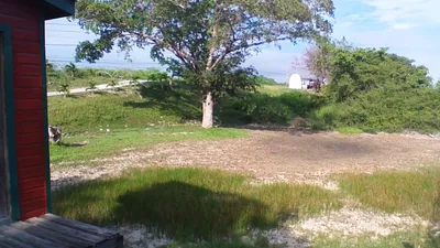 Unique Riverfront Property in Orange Walk District - thumbnail 28