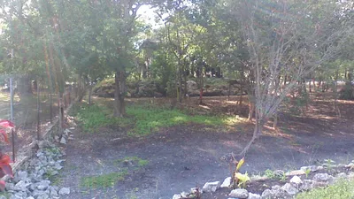 Unique Riverfront Property in Orange Walk District - thumbnail 29