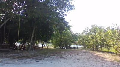 Unique Riverfront Property in Orange Walk District - thumbnail 32