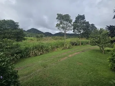 9.5-Acre Riverfront Land in St. Margaret’s Village - thumbnail 2