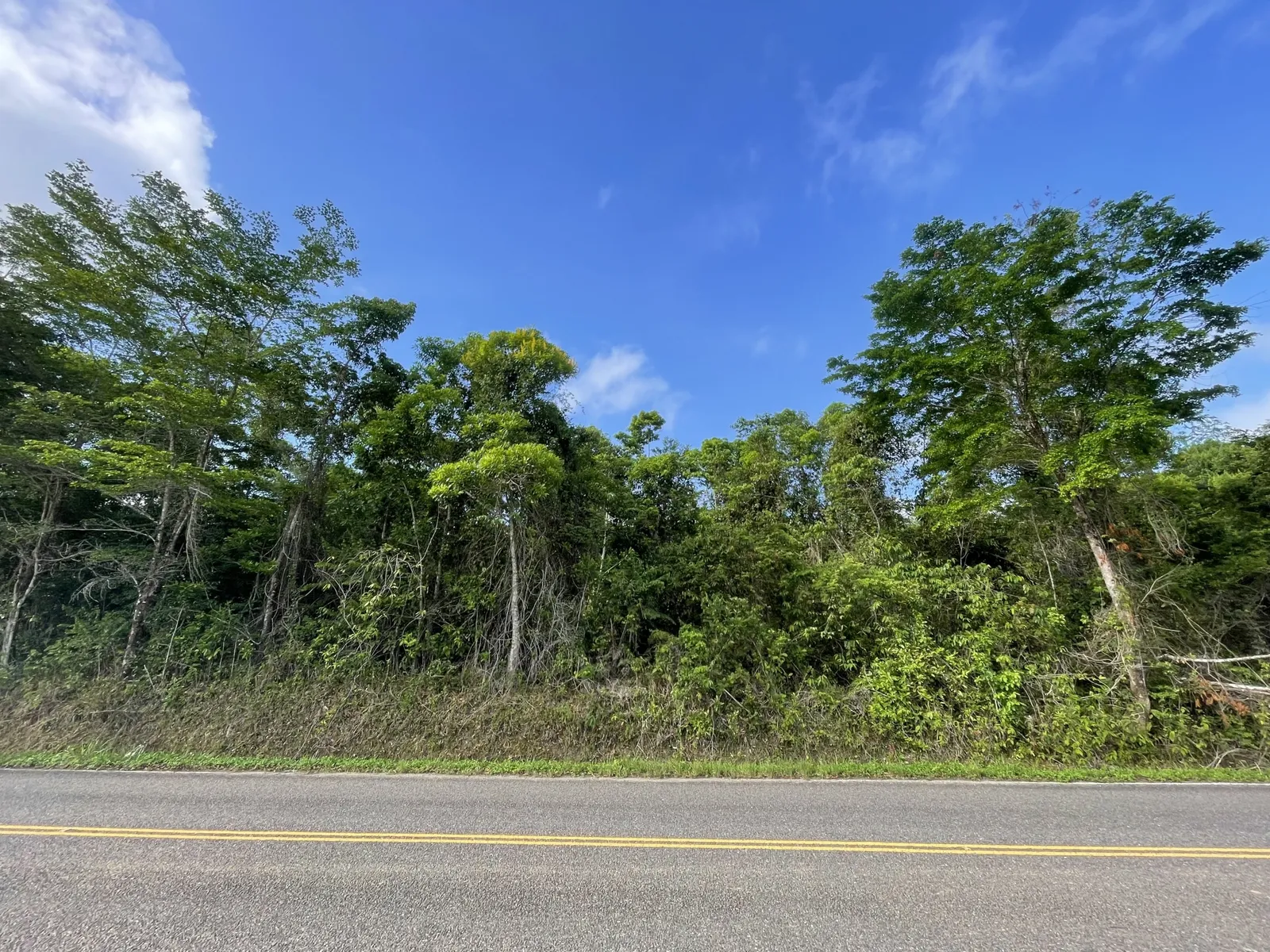 12.5 acre-lot on the Hummingbird Highway with creek