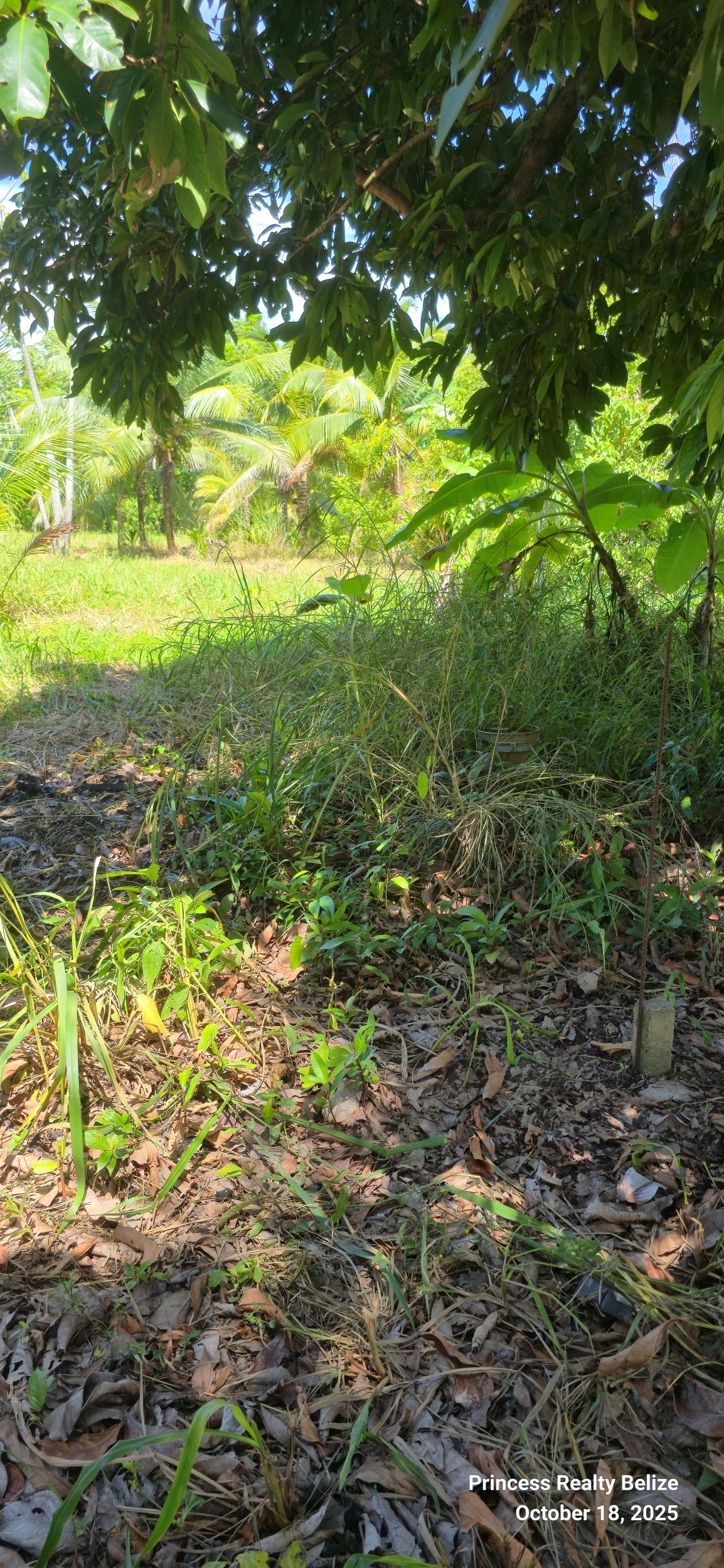 PR-L131 – 13 Acres Sittee River Village