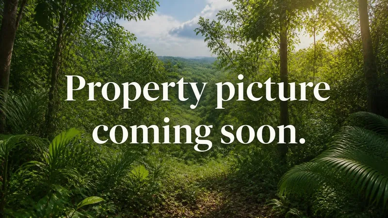 15 Acres with Mahogany Trees & Creek