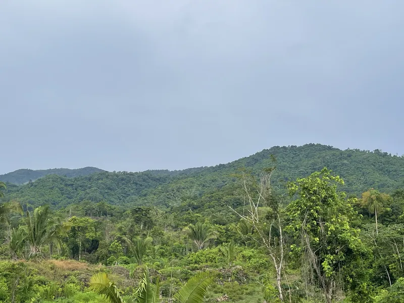 15 Acres with Mahogany Trees, Small Hill and Mountain Views