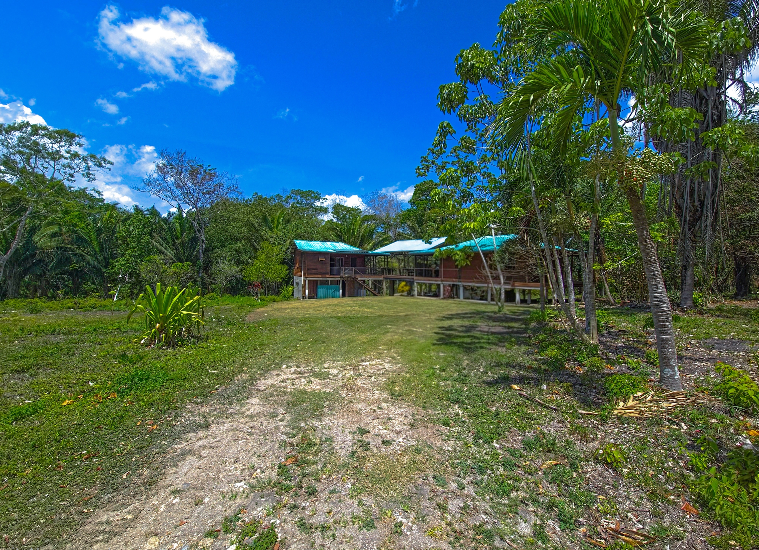 ​Eco-Comfort Jungle Oasis in Bullet Tree Falls