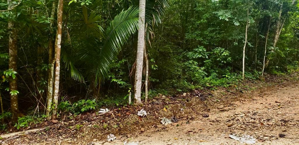 Re idential Lot in Better in Belize Eco-Community