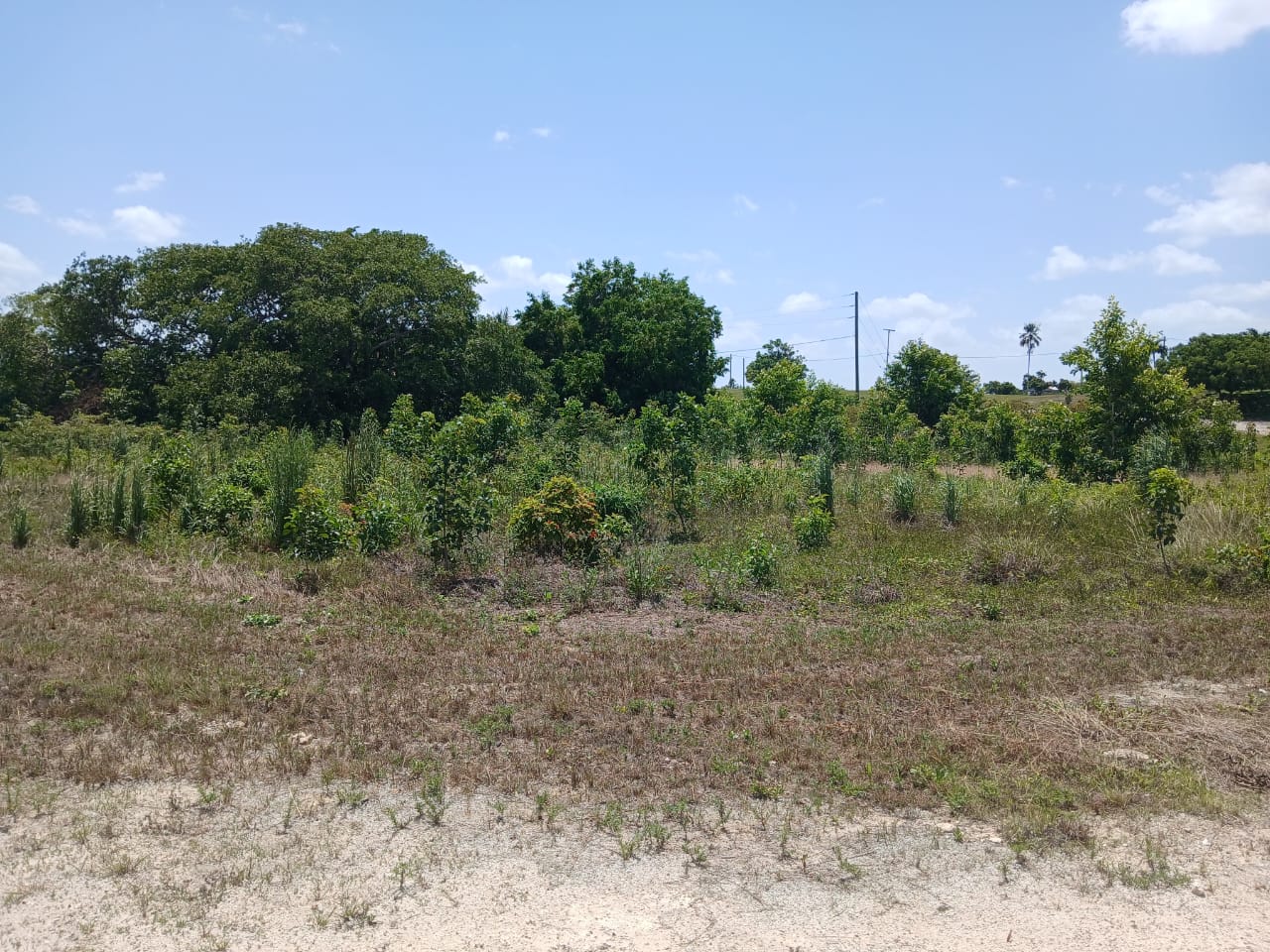 Progresso Heights Lot 410 – Ready to build near lagoon