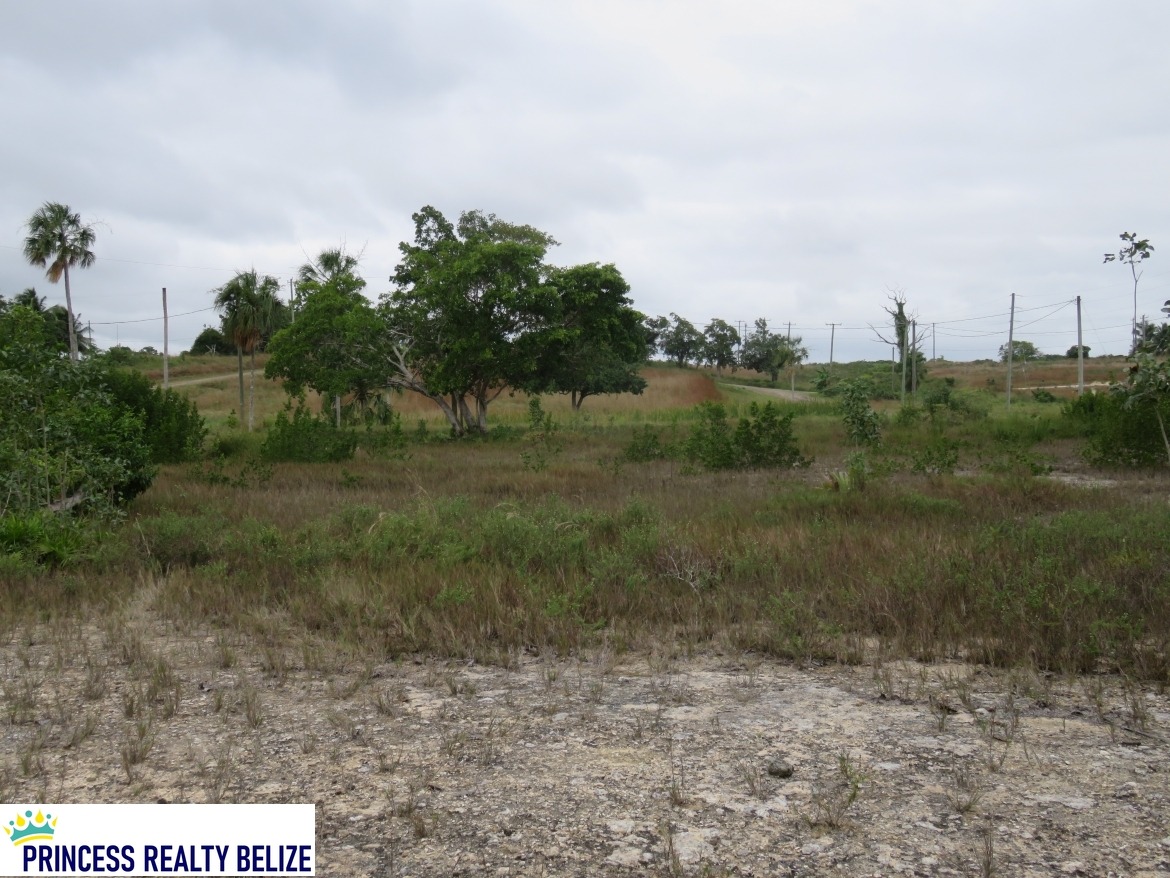 PR-L121 – Progresso Heights Lots 1380 and 1381