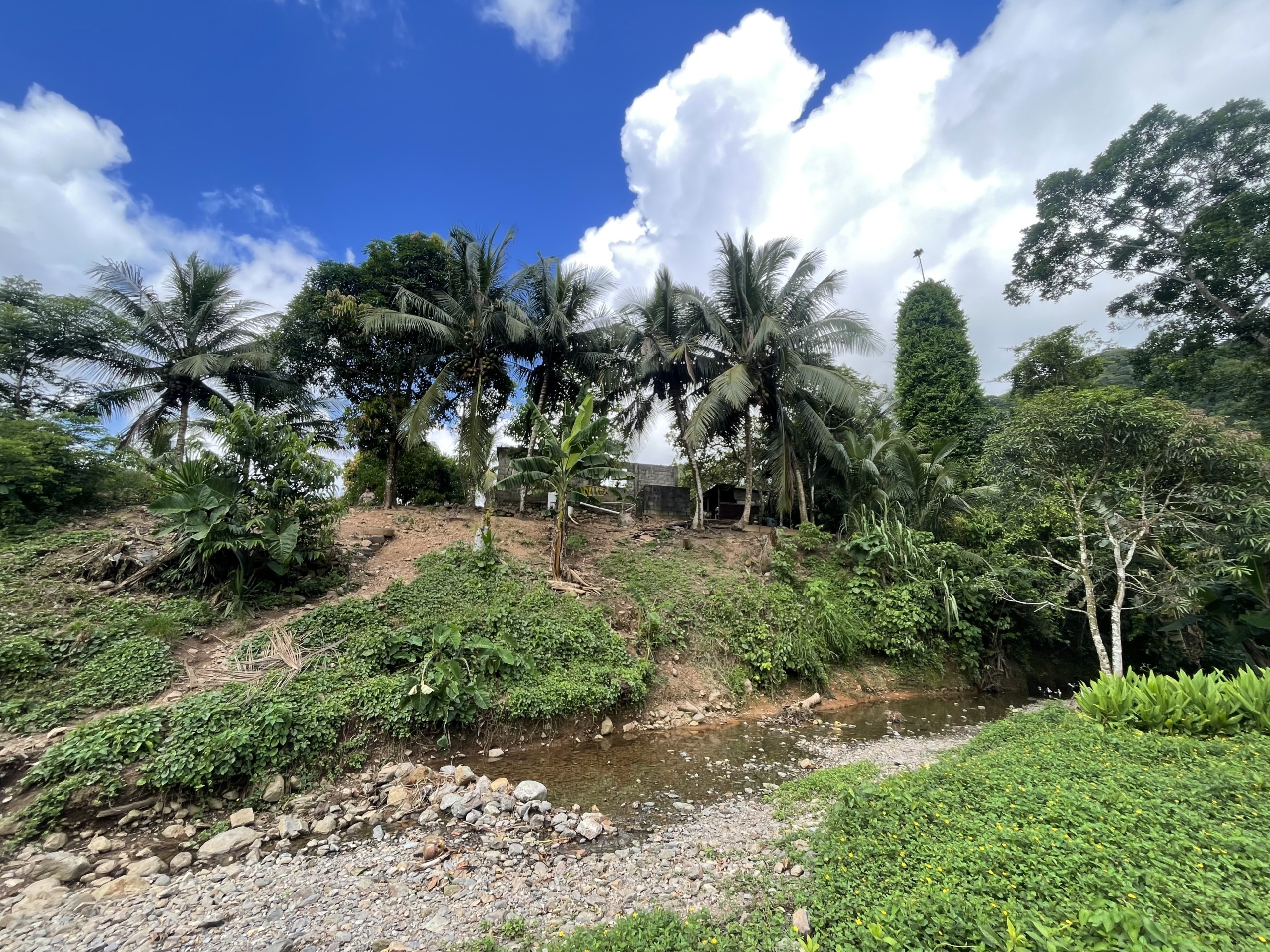 Valley Community yearlong creek & mountain view property