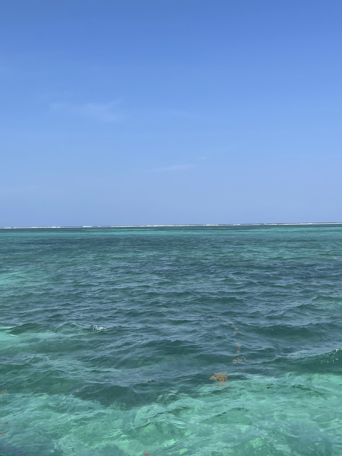 Mahogany Bay Beach Club photo 6
