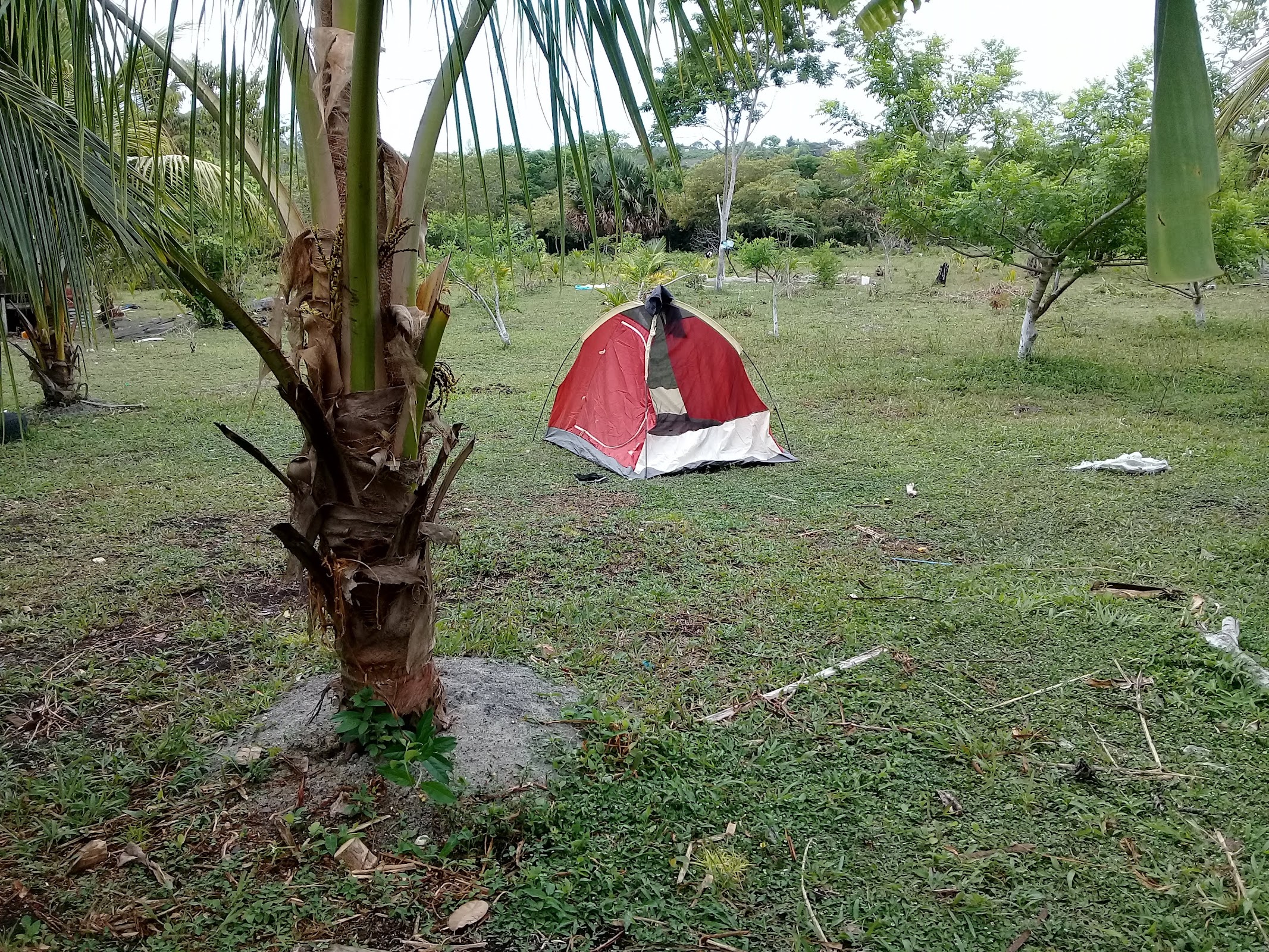 Mama Tina's Medicinal RV Campsite & Farm photo 8