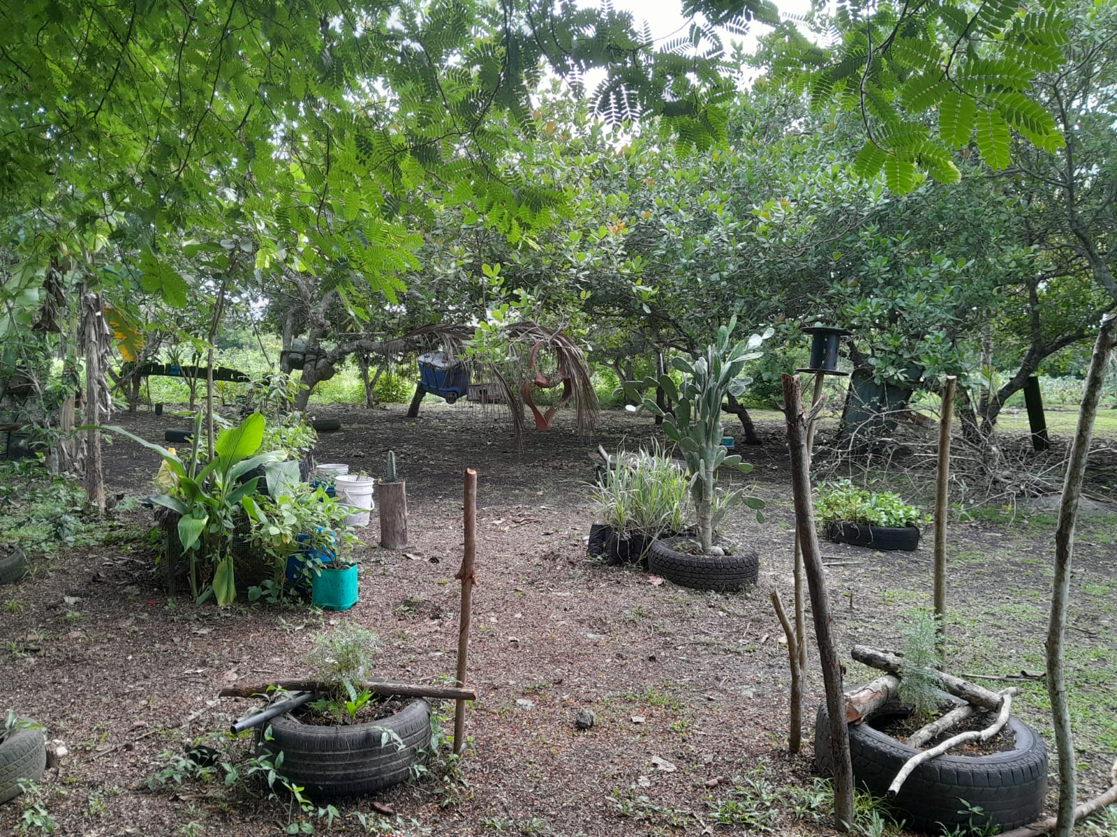 Mama Tina's Medicinal RV Campsite & Farm photo 7