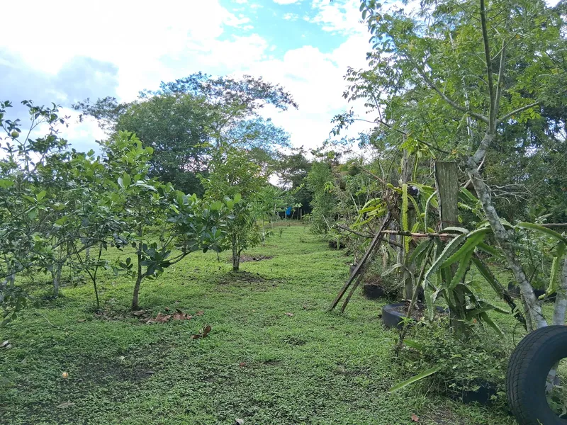 Mama Tina's Medicinal RV Campsite & Farm photo 2