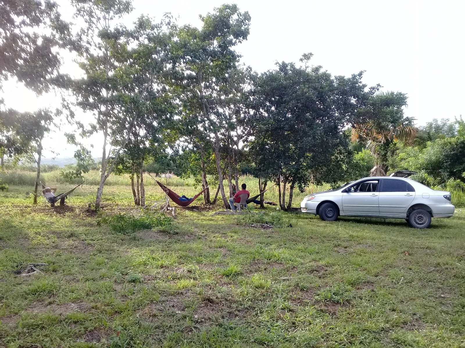 Mama Tina's Medicinal RV Campsite & Farm