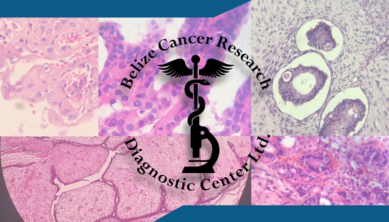 Belize Cancer Research & Diagnostic Center Ltd. photo 2