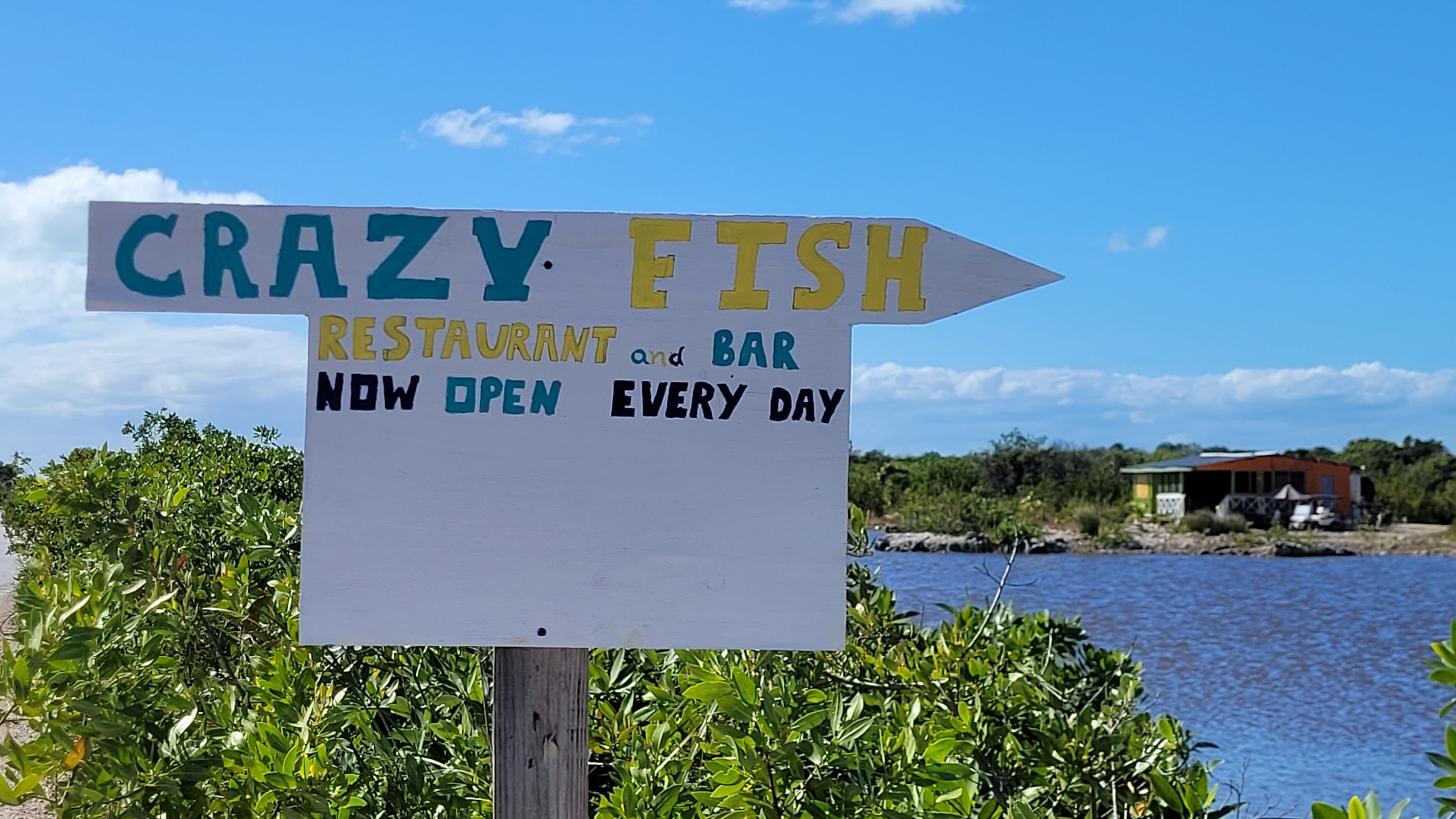 Crazy Fish restaurant and bar photo 4