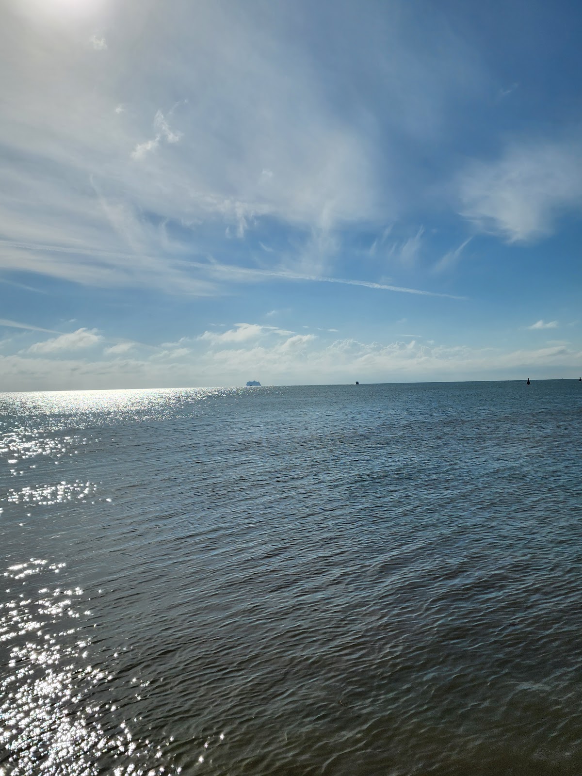 San Cas Park photo 5