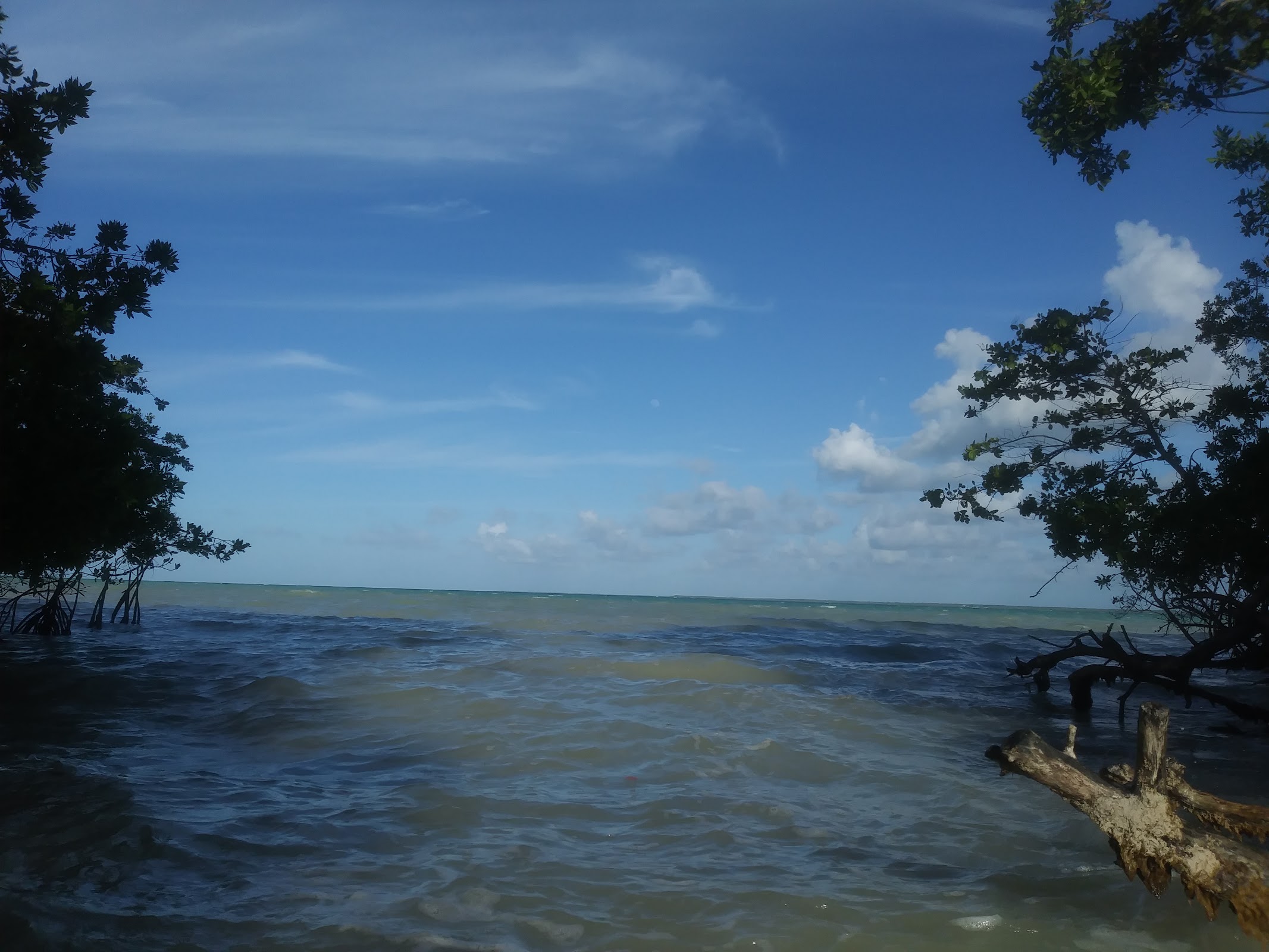 Mangrove Park photo 4