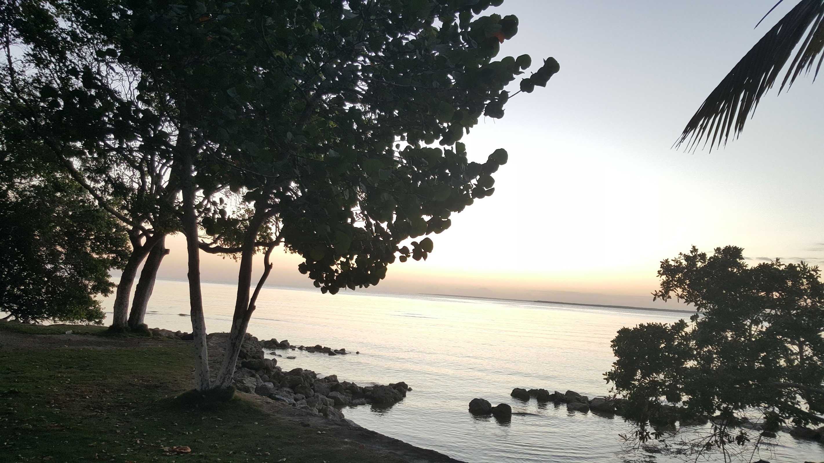 Mangrove Park photo 6