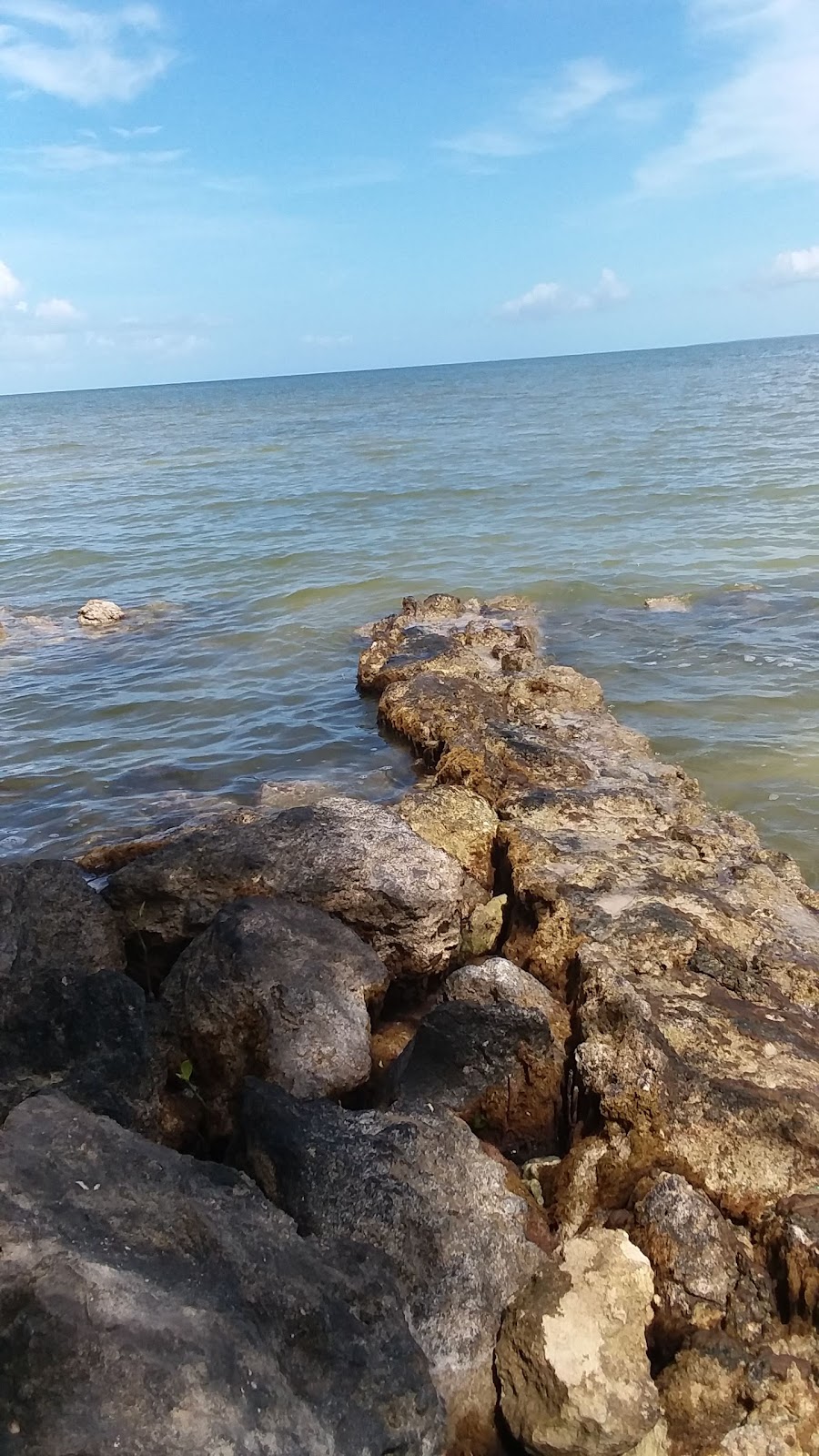 Mangrove Park photo 5