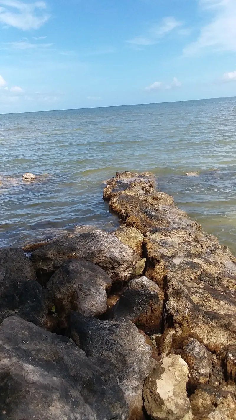Mangrove Park photo 5
