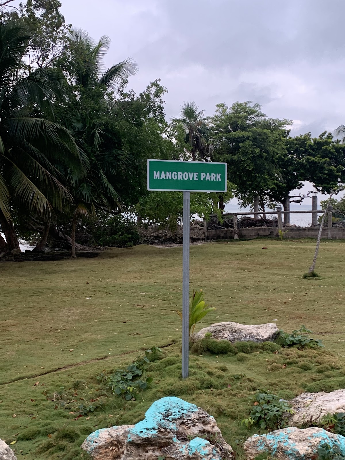 Mangrove Park photo 7