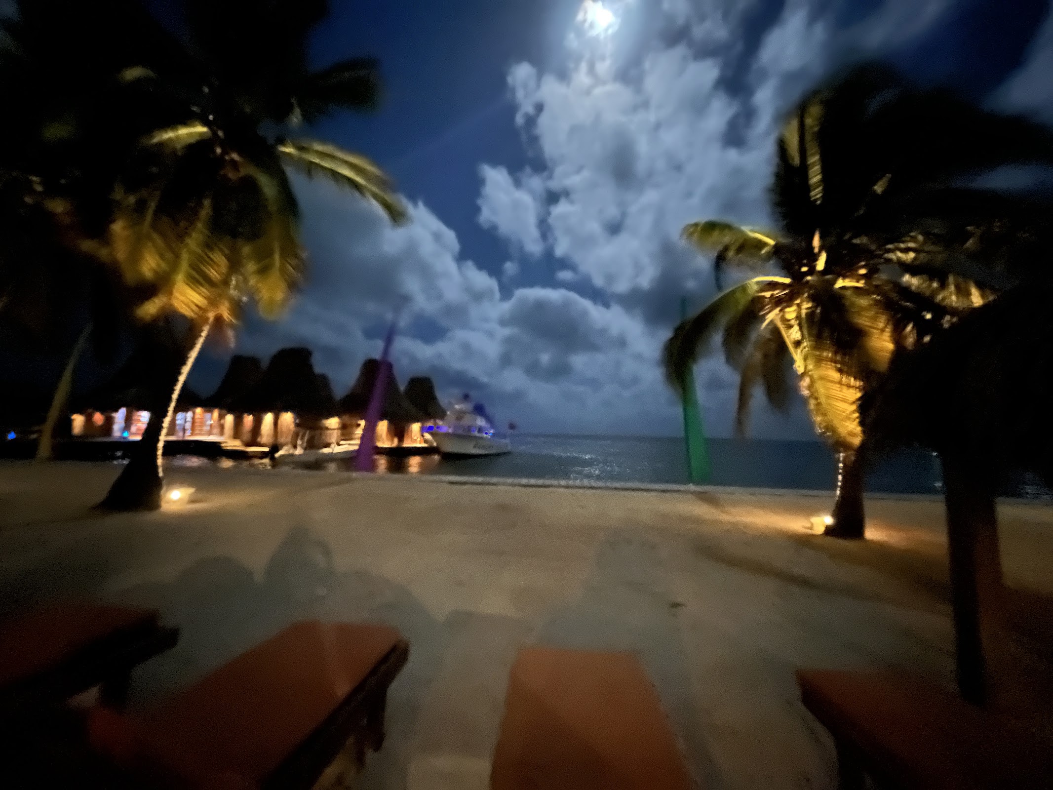 Tropic Al's photo 5