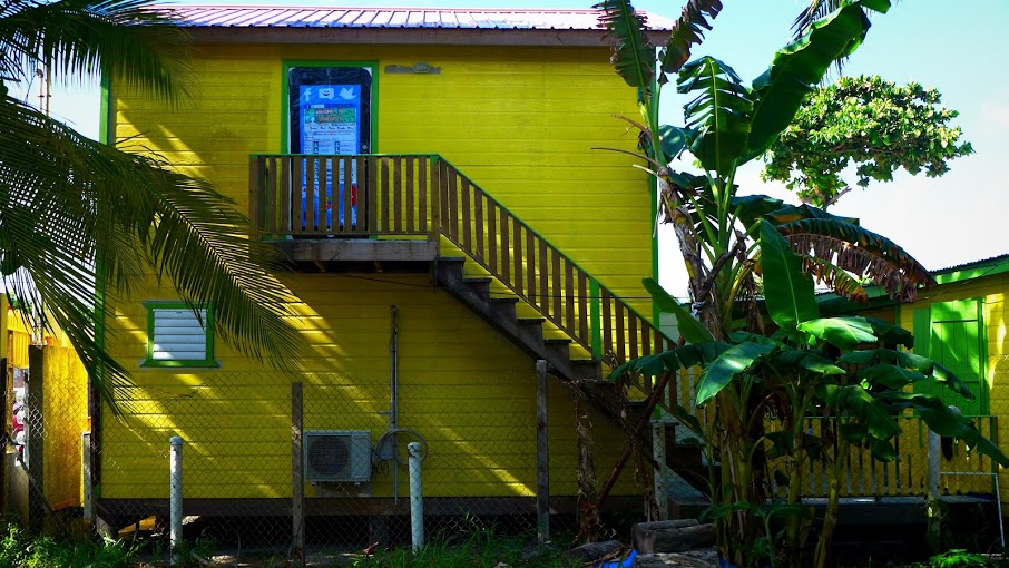 Ambergris Caye Elementary School (ACES)