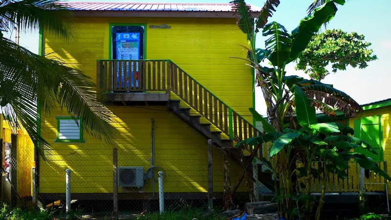 Ambergris Caye Elementary School (ACES)