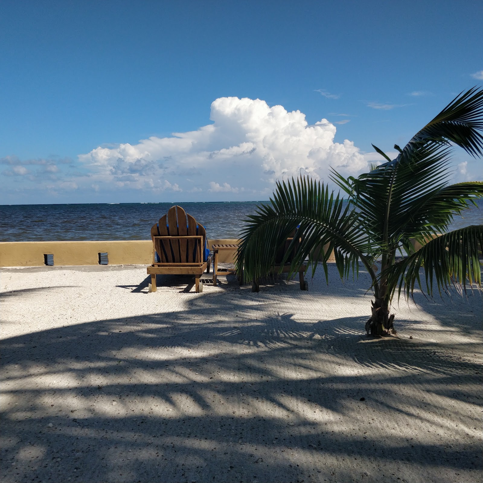 Coco's Loco Beach Bar photo 4