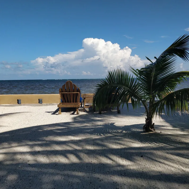 Coco's Loco Beach Bar photo 4